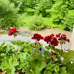 Guest house Mikaela 3*
