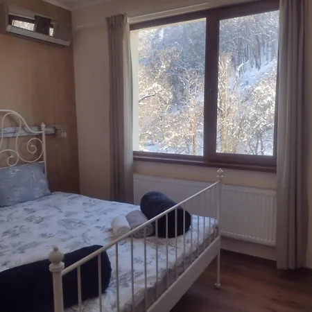 招待所 Mikaela 加布罗沃