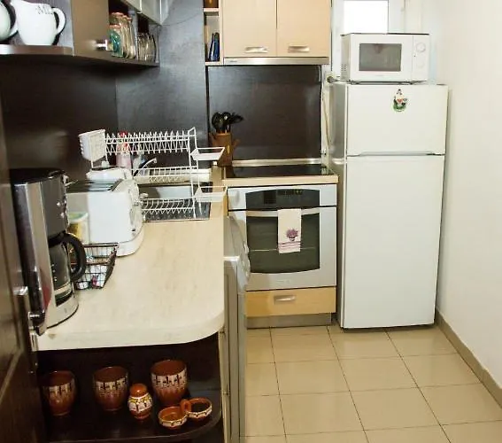 招待所 Mikaela 加布罗沃