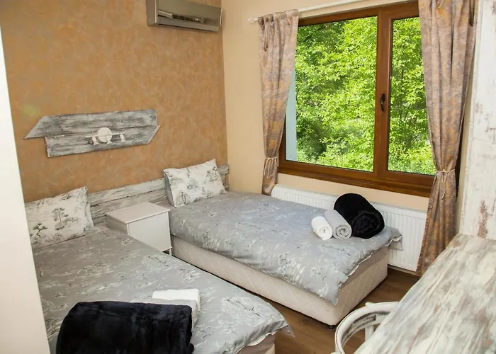 Mikaela 加布罗沃