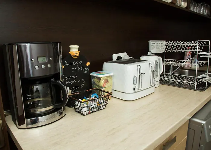 Mikaela 加布罗沃