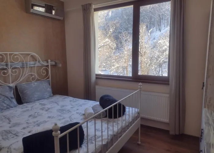 招待所 Mikaela 加布罗沃